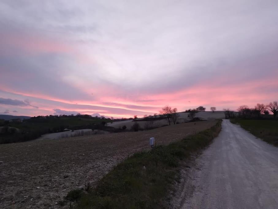 Casal Del Sole - Il Gelso Daire Montefelcino Dış mekan fotoğraf